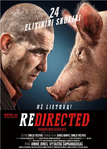 Занесло / Rеdirected (2014) WEBRiр